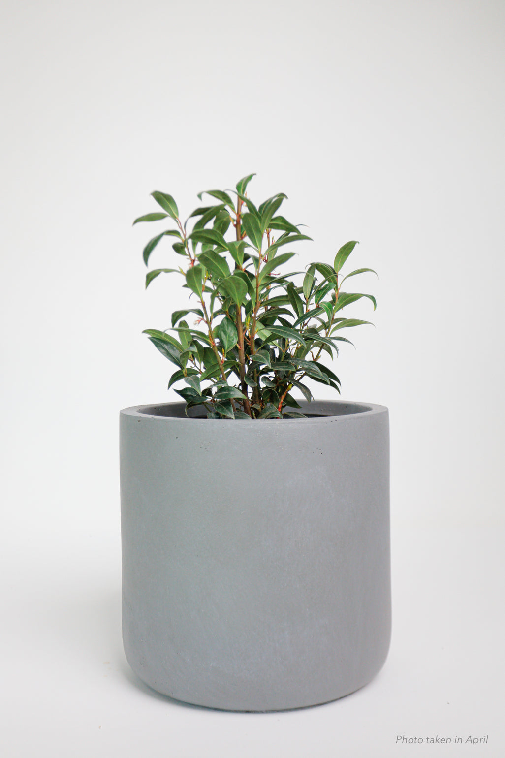 products/SotoProductShootLowQ-2716_c8d1dc67-19ea-4606-a765-45520a5753ac.jpg